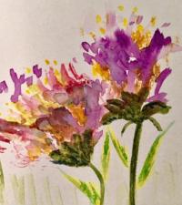 Linda DeGraf © 2018